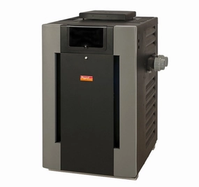 RUUD #50 199K BTU Natural Gas Digital Polymer Pool Heater