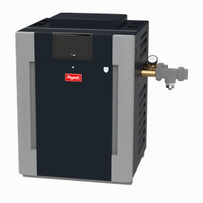 RUUD #50 399K BTU Natural Gas Digital Polymer Pool Heater