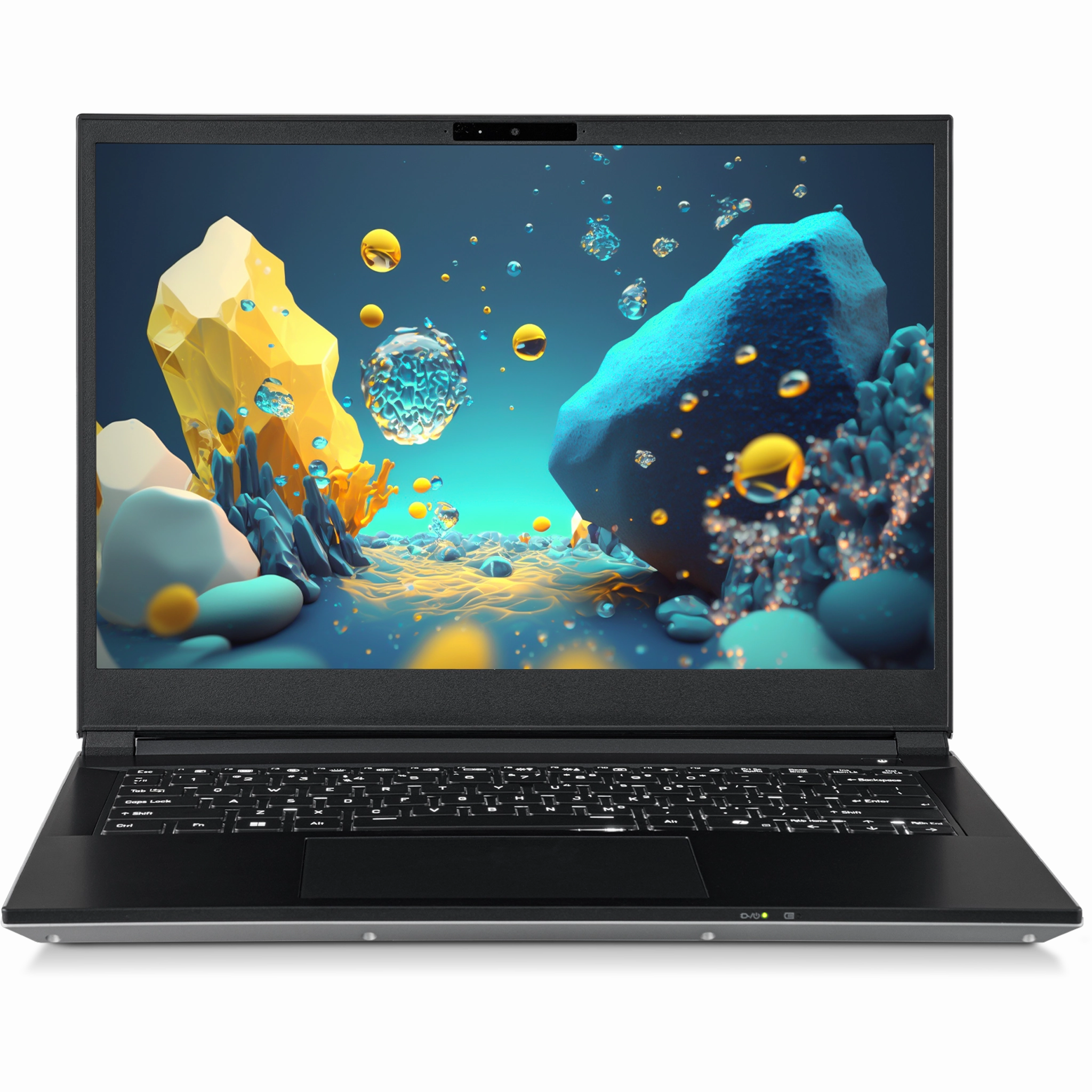SAGER NP3541U (Clevo V540TU1) Laptop