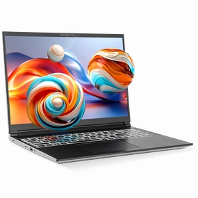 SAGER NP3561U (Clevo V560TU) Laptop pc,gaming pc