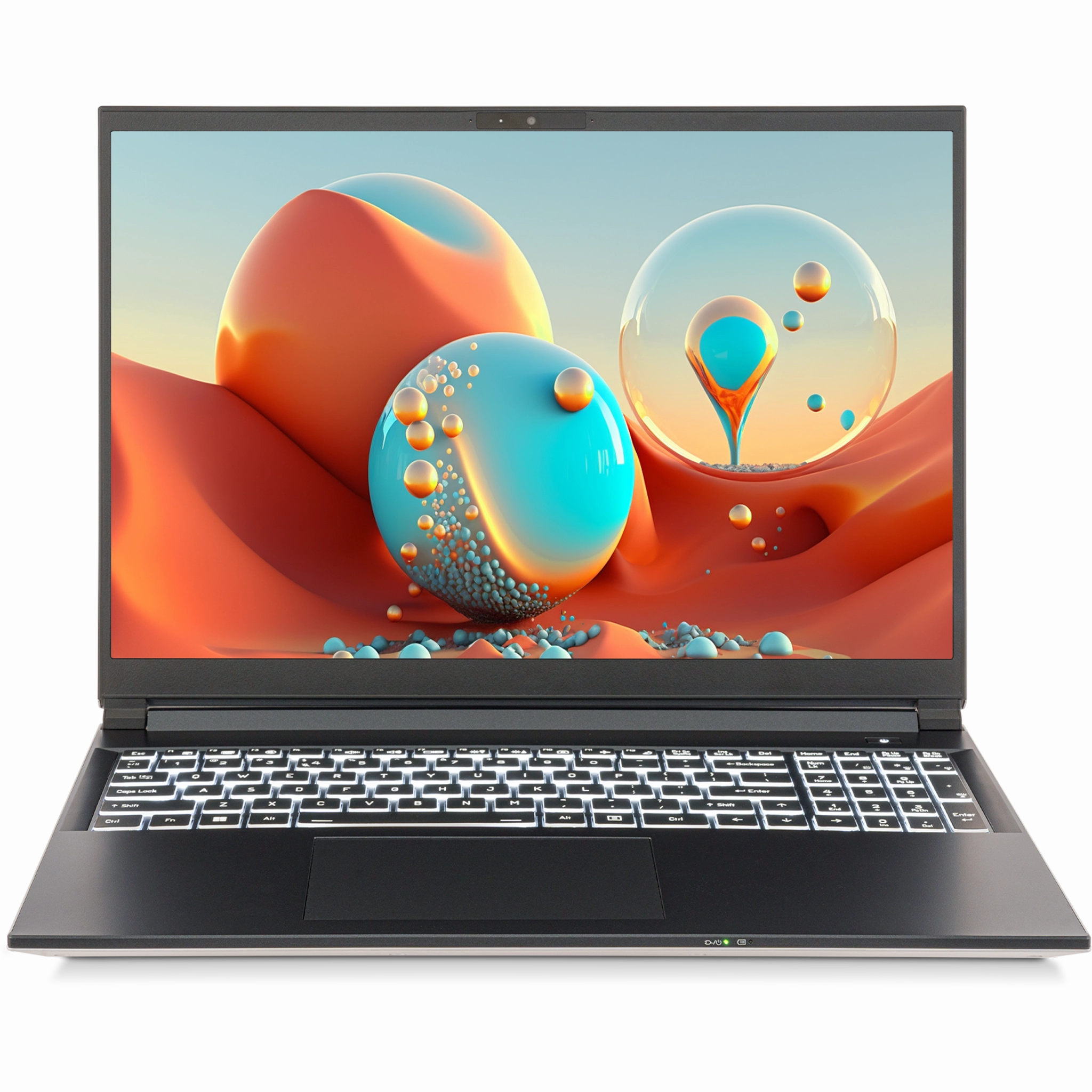 SAGER NP3561U (Clevo V560TU) Laptop