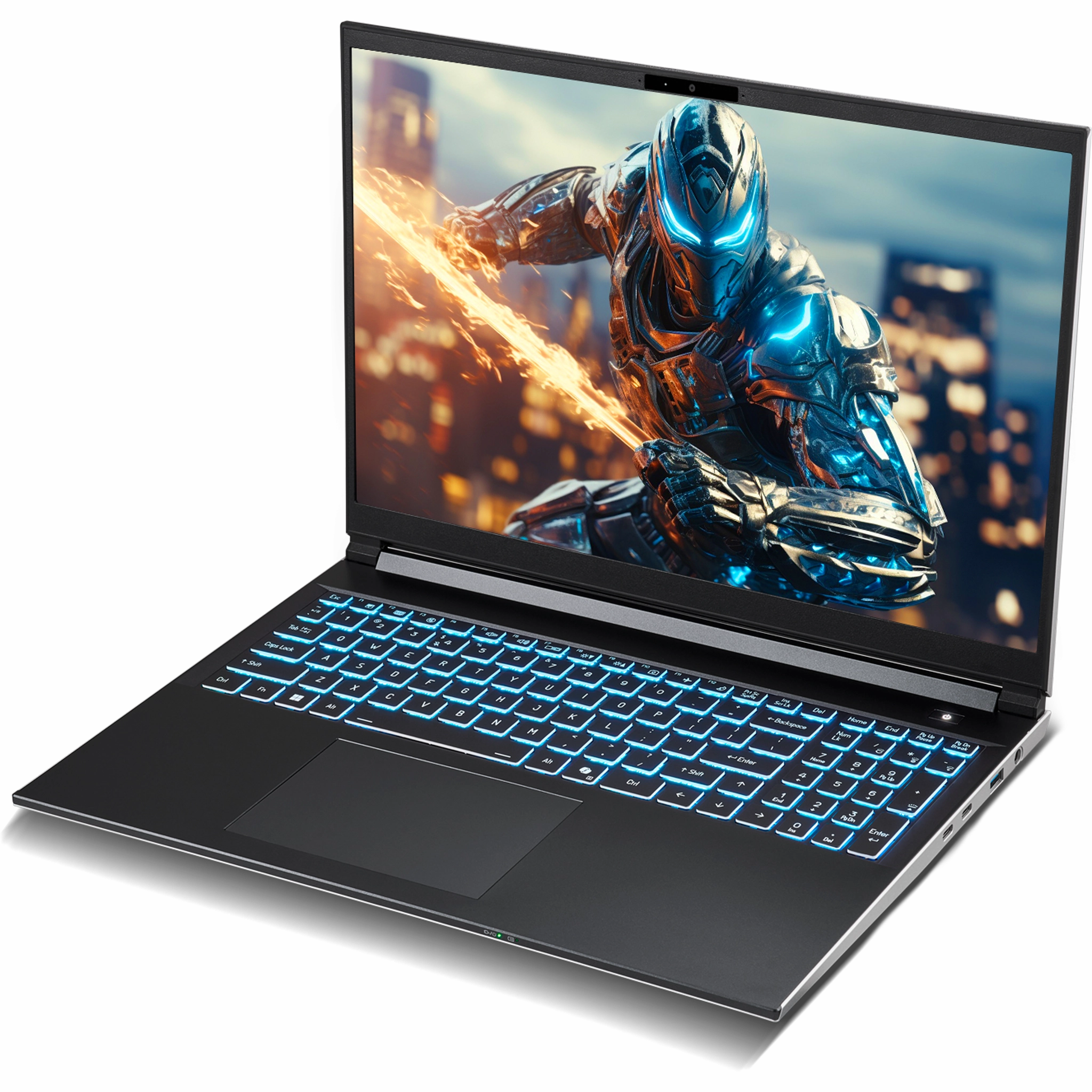 SAGER NP6560P (Clevo V560KNP) Gaming Laptop