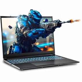SAGER NP6560P (Clevo V560KNP) Gaming Laptop pc,gaming pc