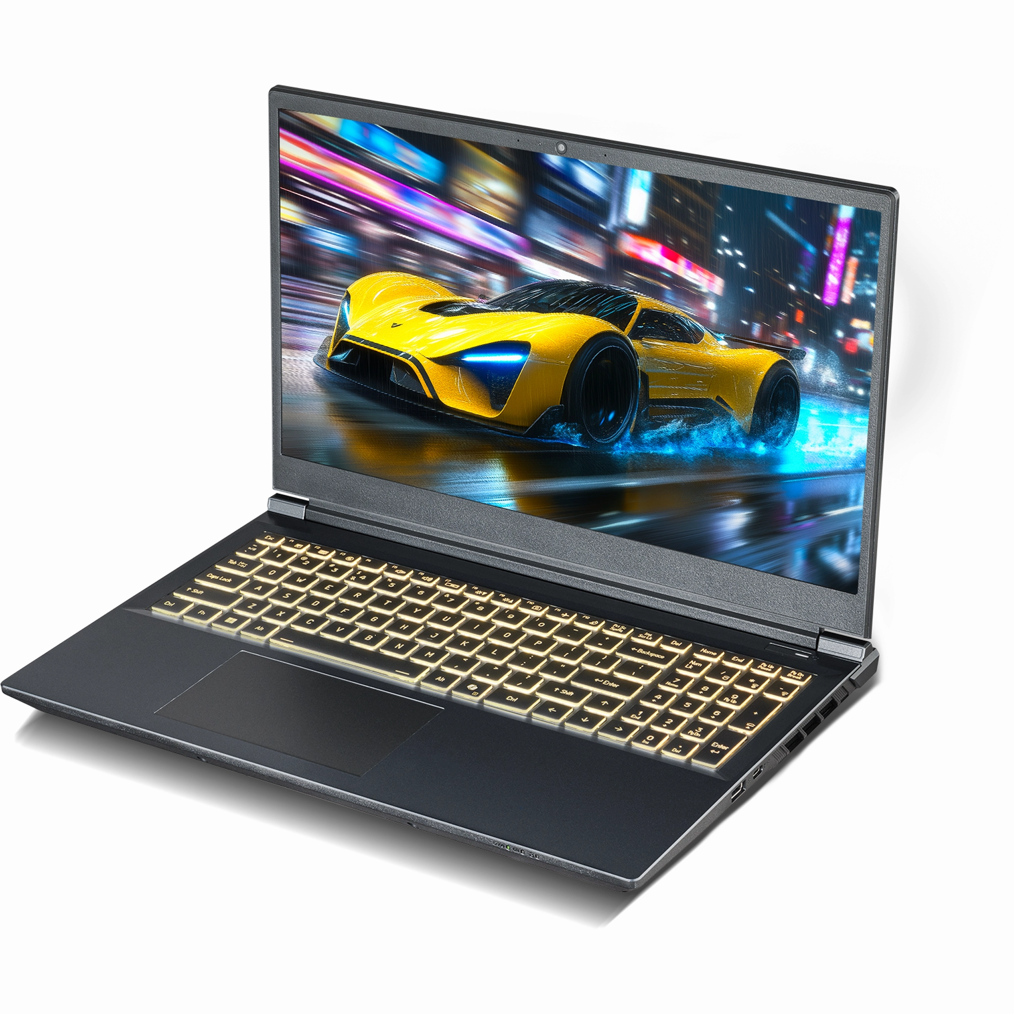 SAGER NP7551M (Clevo V350WNMQ) Gaming Laptop