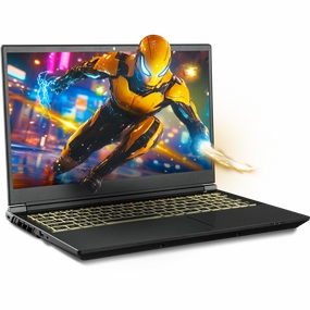 SAGER NP7551M (Clevo V350WNMQ) Gaming Laptop pc,gaming pc