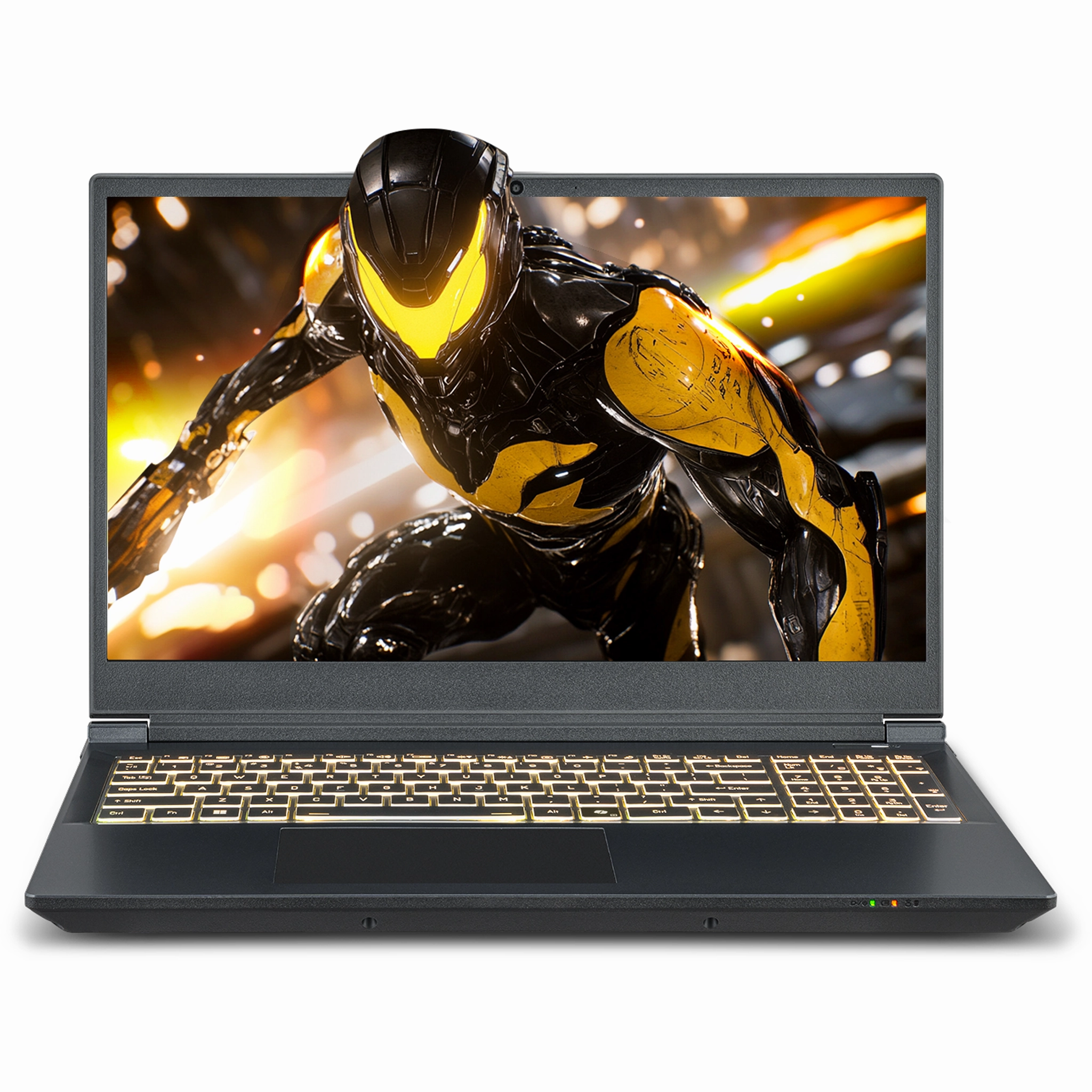 SAGER NP7551M (Clevo V350WNMQ) Gaming Laptop