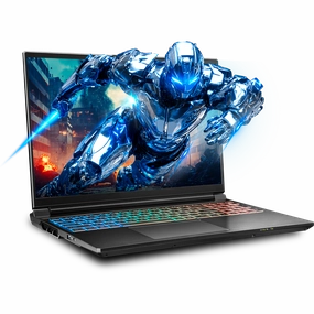 SAGER NP9560R (Clevo X560WNR-G) Gaming Laptop pc,gaming pc
