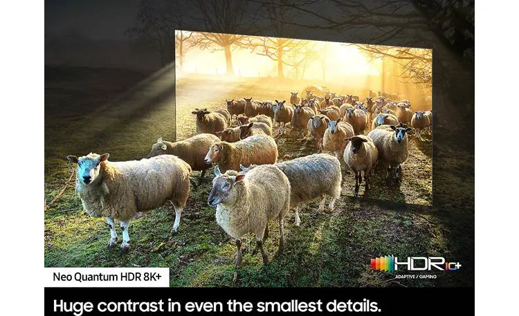 Samsung Neo QLED QN800C TV Screen