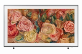 Samsung 75 The Frame 4K Tizen Smart QLED TV - QN75LS03DAFXZC tv wall mount, 55 inch tv
