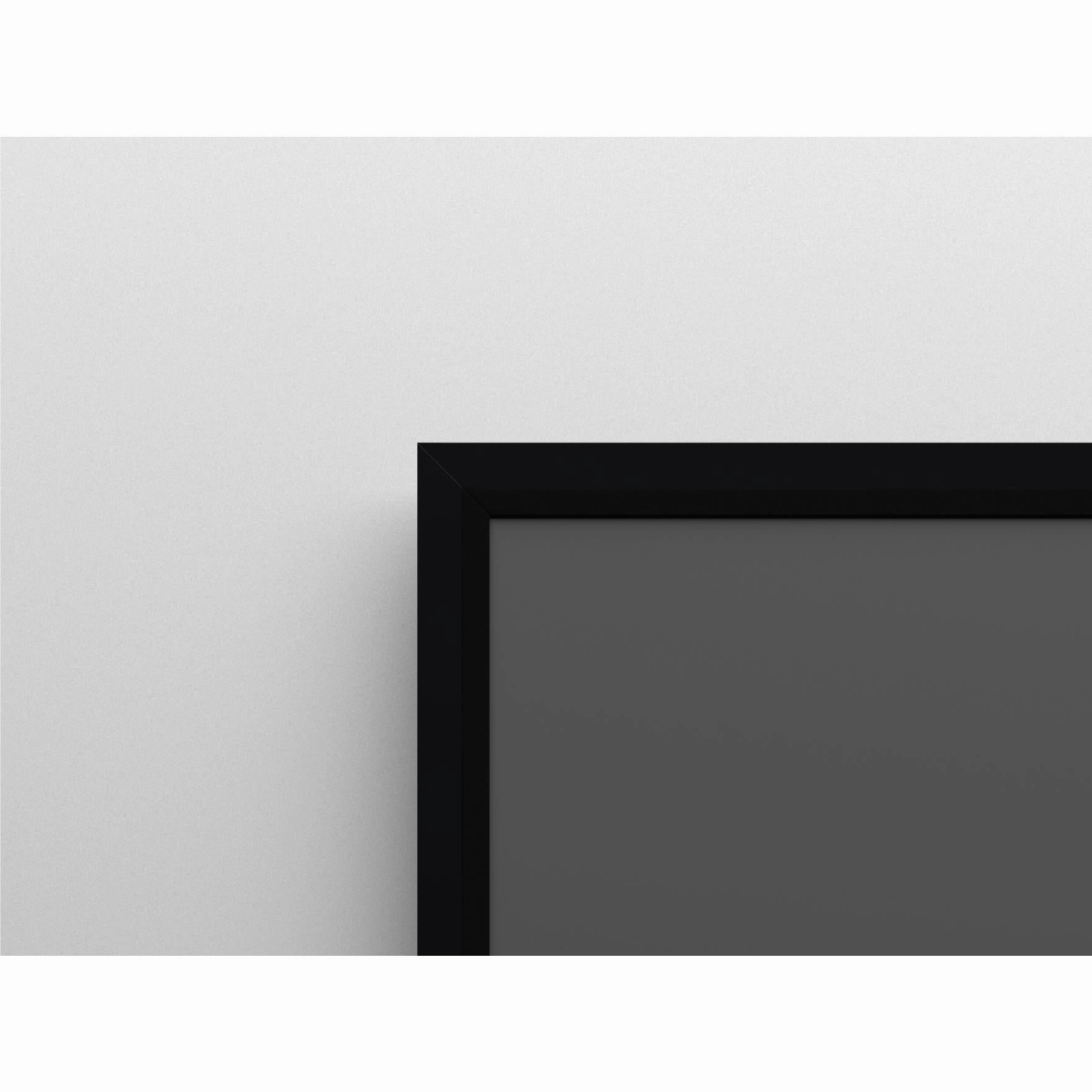 Screen Innovations Zero Edge Pro - 16:9 - Ultra Short Throw (UST) - Ambient Light Rejecting (ALR)