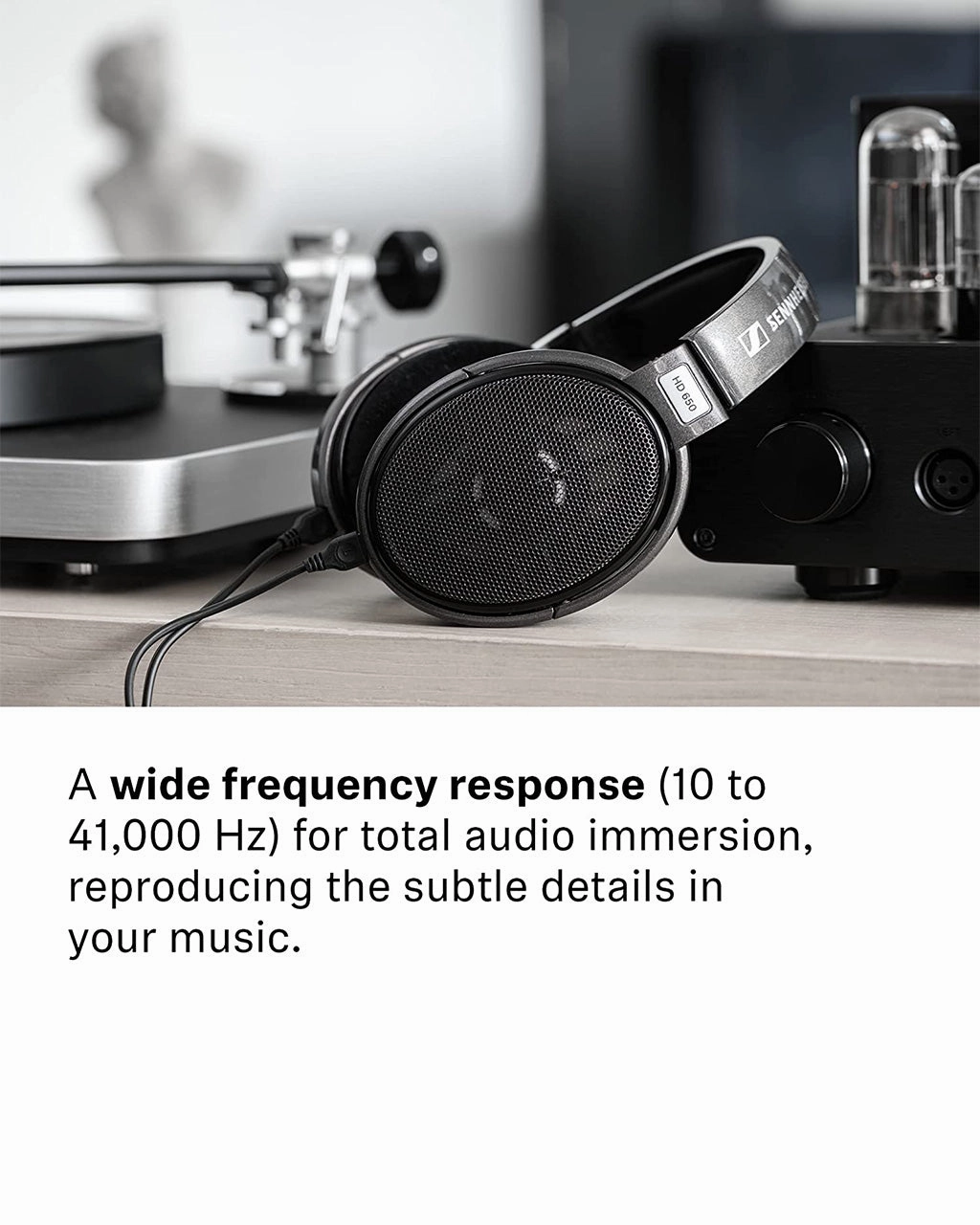 Sennheiser HD 650 - Audiophile Hi-Res Open Back