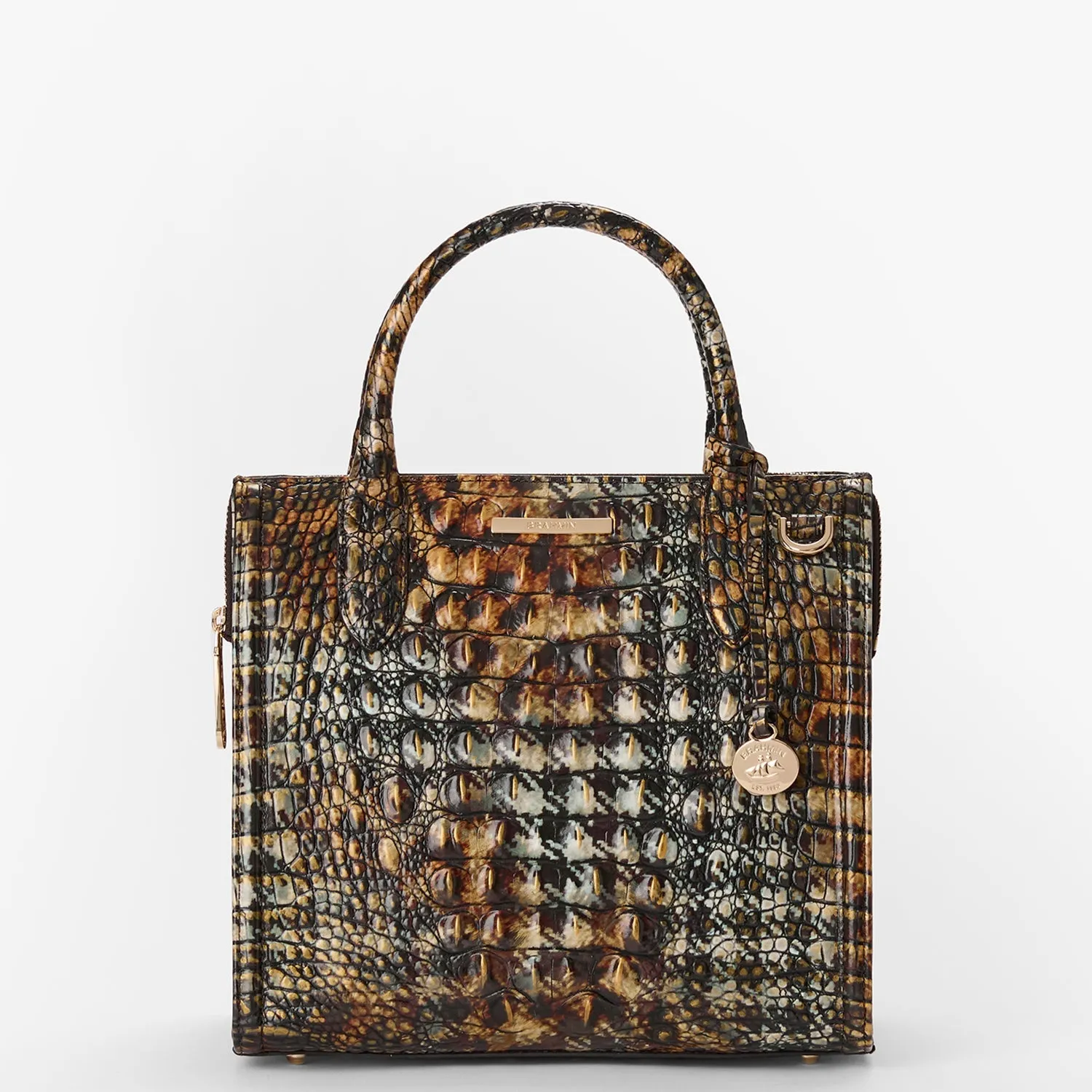 Small Caroline Bags Brahmin Satchels