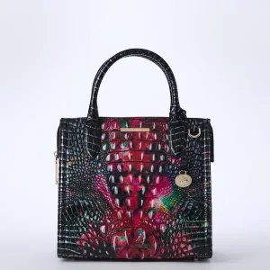 Small Caroline Bags Brahmin Satchels
