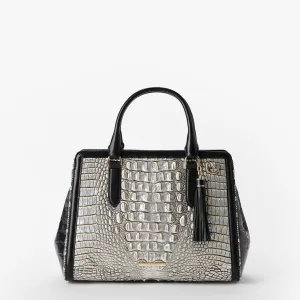 Small Finley Bags Brahmin Totes Carryalls