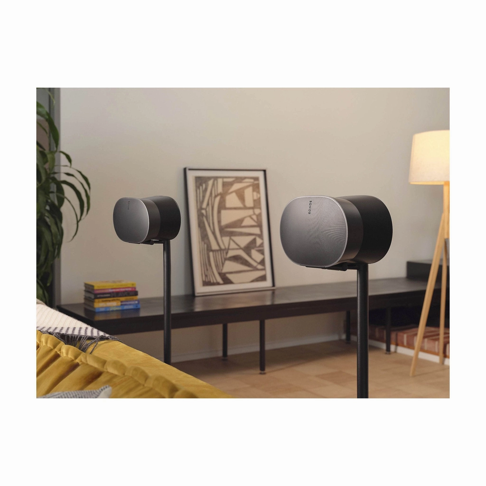 Sonos Era 300 Premium Smart Speaker