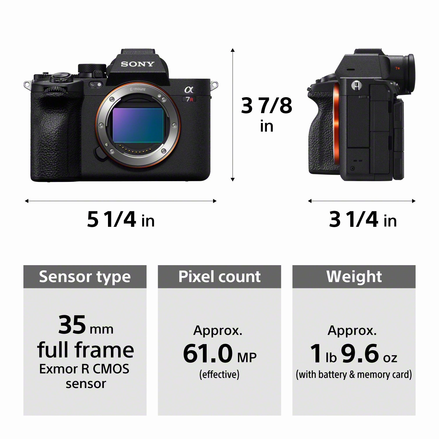 Sony Alpha a7R V Mirrorless Camera