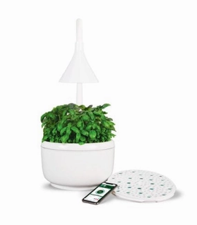 SproutsIO Smart Garden