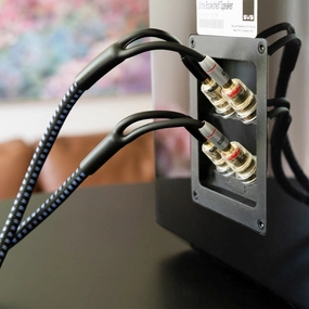 SVS SoundPath Ultra Bi-Wire Speaker Cable multi channel home theatre,surround sound system